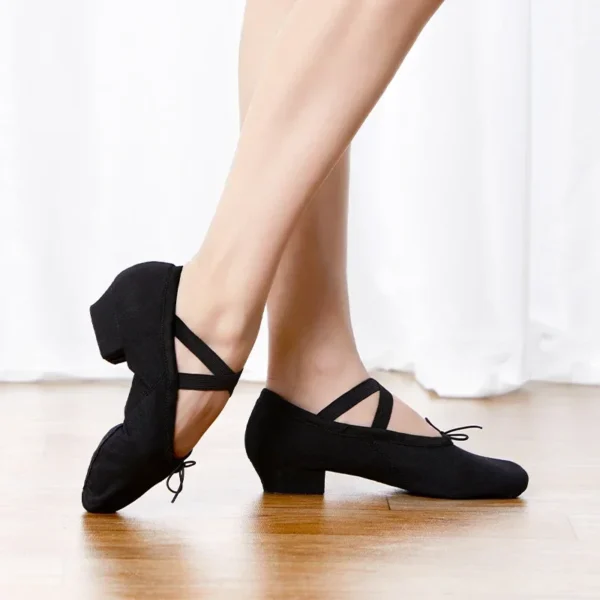 Professional Ballet Dance Shoes for Women Girls Low Heel Dance Shoes Canvas Teacher Shoes For Dancing Class